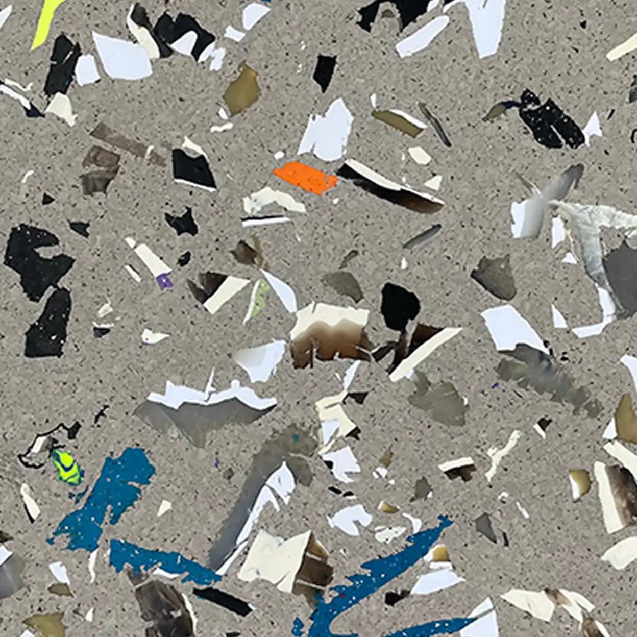 Fossil