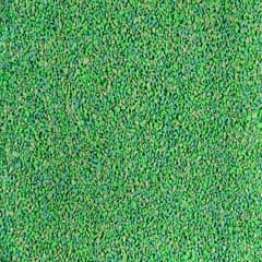 Green Meadow