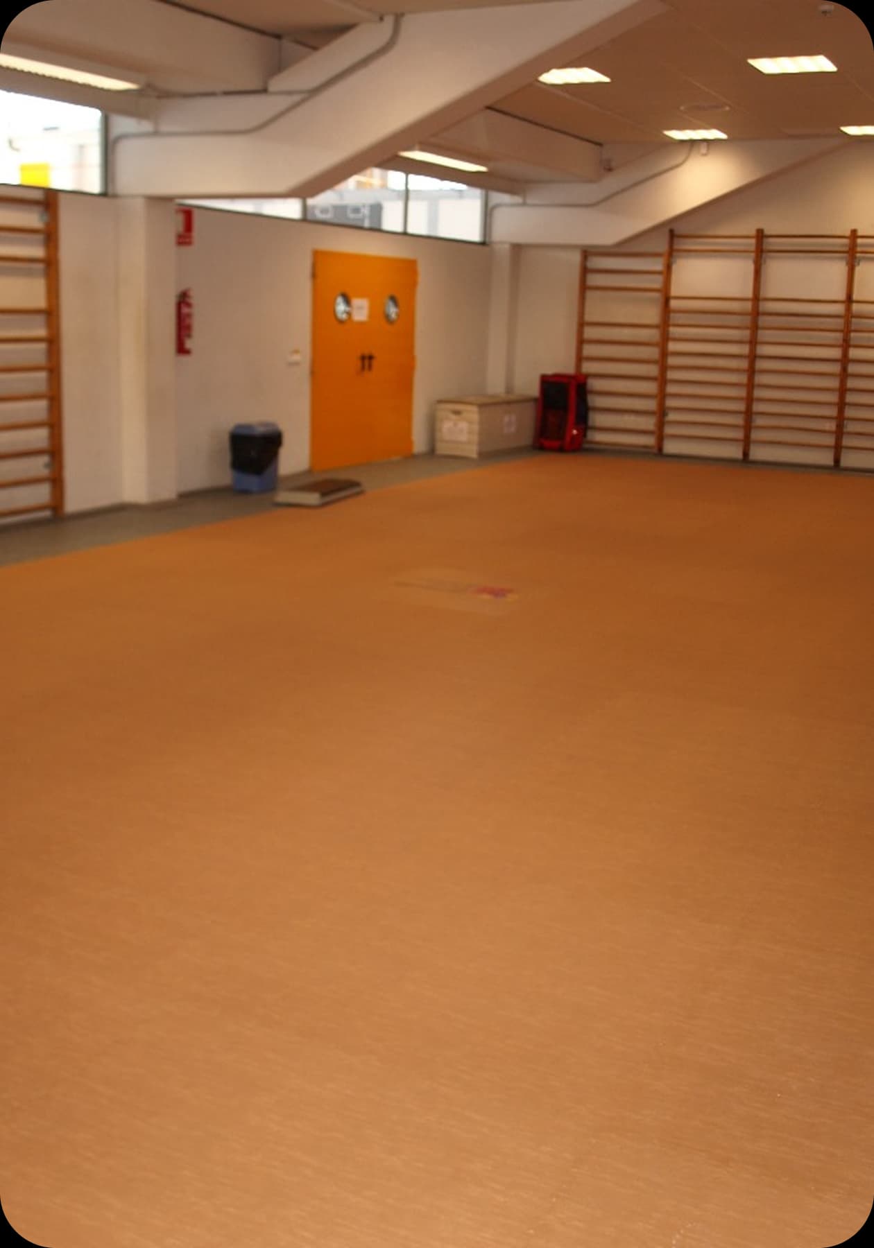 BFMT-OC - Beige|Marbled Troter - Ochre